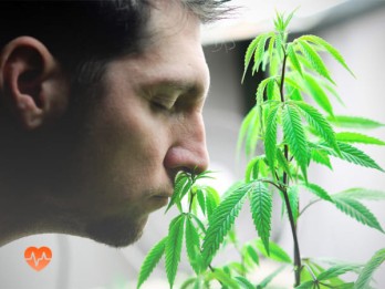 Детоксикация от марихуаны в Новомихайловском